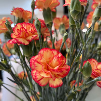 ����ɫ����ܰ��Ȼ��ô�ÿ��أ�