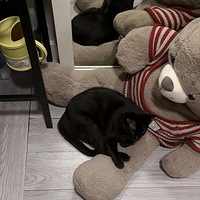 ����һ����������ŷ��С��(����һè)