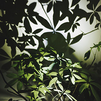 �������»��ֶ�...