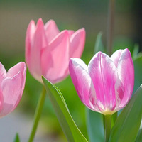 �ջ�����������ˮ�ɵĿ���