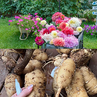 ÿ�շ���һ�ֻ�������������������