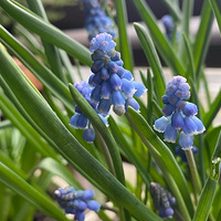 �����ѷ��������������İɣ���ʮ��һ�軹Ҫʲô���г�