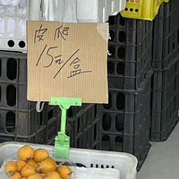 ֶԲԵν˼˾~