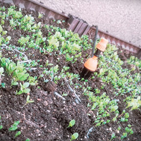 û�뵽Ū����԰��ô��Ǯ��������ͼƬ��