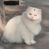 èè������࣬����������˽