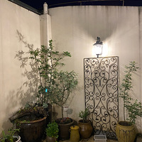 ����ҵ�ֲ��԰����һ�ڳɹ�չ