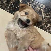 �������������]�����Ѿ���������