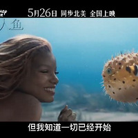 ʿ˰С㶨526ӳvs˰Ա