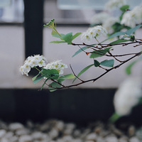 �ճ�����ϼ�