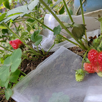 ѧ������̨�����л�ˮ��