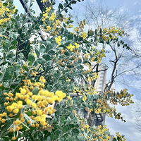 �ҵ���԰���