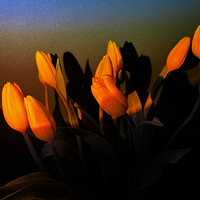 ˮ�������㾹Ȼ���������