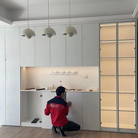 ȥ����һ�Ҷ��ƹ�������ֳ���װ�޵������Ǹ�������