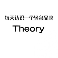 ÿʶһƷơTheory