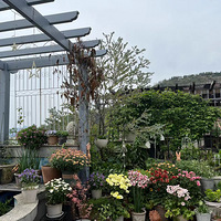 ���Ǿ���������ֲ����ô���ˣ�