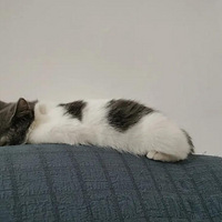 ������˯�˼�¼���ǵı������