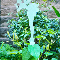 ���컨�Ὺ�����ǵ�л�����Ϸ����µ�����