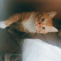 ���裬������ʲô�óԵ�ѽ������