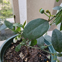 СС����̨�����˺ö��С�ڴ���ˮʩ�ʵȻ����Ƚ��