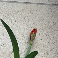 ������ڵ��춥���һ�ܣ�һ��һ����