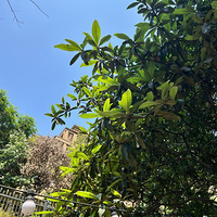 ��40���������������������Ϸ����������������