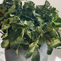 ����ʧ���ռ�