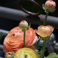 ��̨���Ĵ��죬������Щ������������һЩ��ο��