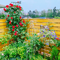 ��԰������