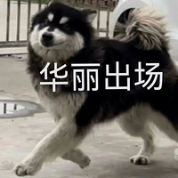 ޸ѧʿҹһƶϴнծ