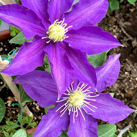 �ٺ� ����¶̨֮������