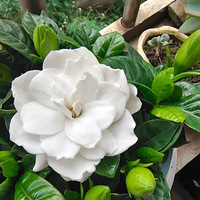 Ϊʲô��ô����˵���ӻ�������ѽ���Ҿ��ú����ú�