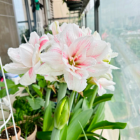 �춥�컨������������ϲ��������