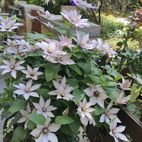 ����������������ˣ��ð���