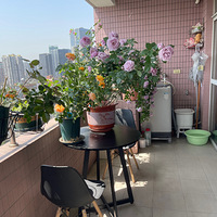 ��̨�ϵ�ʫ��Զ��