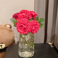 ��ɫ��԰�ز�ס