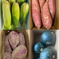 �Ƽ������ڼ�ƽ���ֺóԵ���ʳ���ҳɹ�����10�