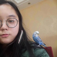 �ı������һ������ҵ��������˸�����������