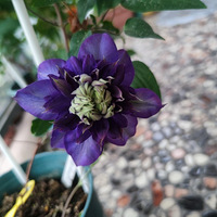 2023�ҵ���̨����������