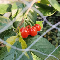 �ҵĶ������� ȥ���Ե��� ����ͽ������