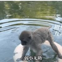 ﱻȺ衱ֱ֪Ӧ