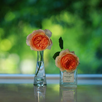 С��̨Ҳ�д��졭��