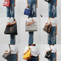 �����ɻ�������13�������Ŀ����ʺ�С����Ů����