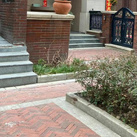 ����������Ǳ���ҵ���ɵ��£�˭˵������ɸѡ�ھӵ�