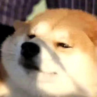 ȷֱ򣡣