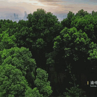 ��������� | ������������������ǣ���������