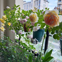 С��̨�¼�������һ��