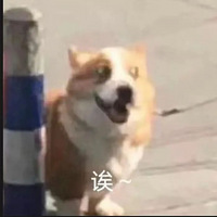 ֻֿ4棡ˣϰ!