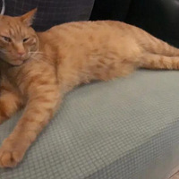 �Ҽ����Ǹ���Ц�аɣ�����Χ�۹�����