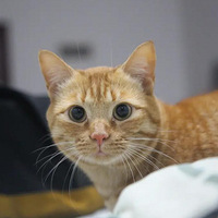 ��Χ��С���� 2�� 7�� ��л������ҵĵ���ʱ��