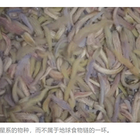 Թ㶫̳棬궼䶯